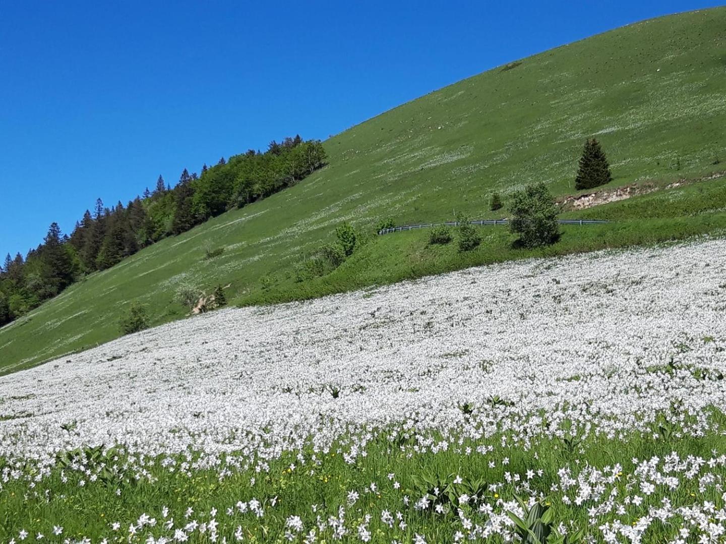 Valreley, Chambres Et Table D'Hotes Eco-Friendly Avec Bain Nordique Au Sud Du Massif Du Jura Champagne-en-Valromey Екстер'єр фото