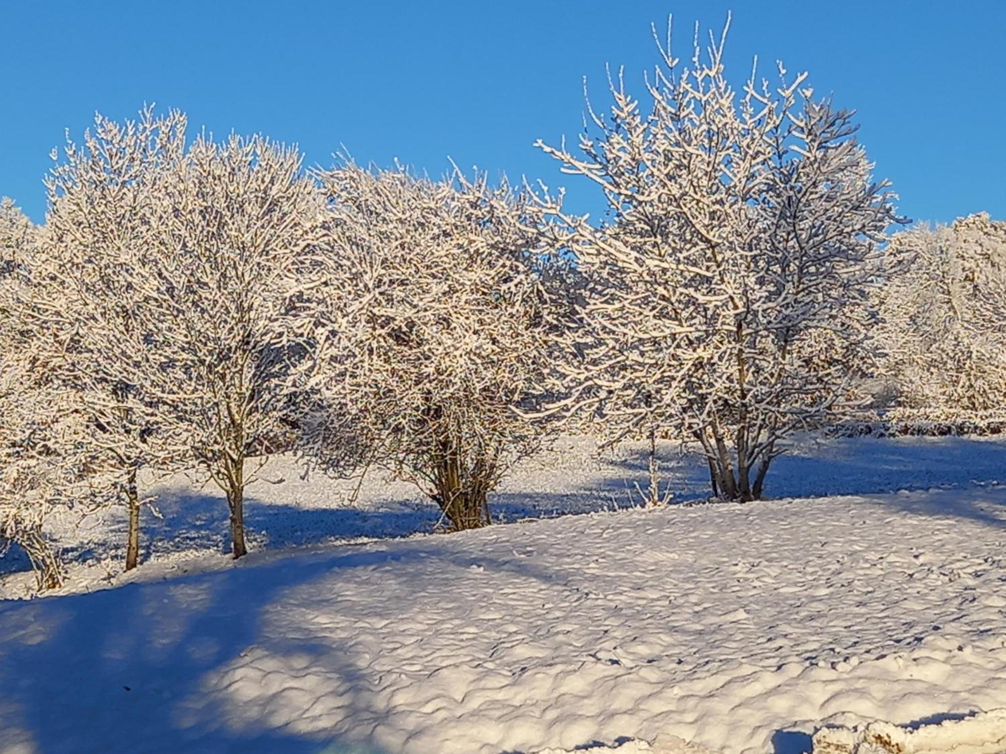 Valreley, Chambres Et Table D'Hotes Eco-Friendly Avec Bain Nordique Au Sud Du Massif Du Jura Champagne-en-Valromey Екстер'єр фото