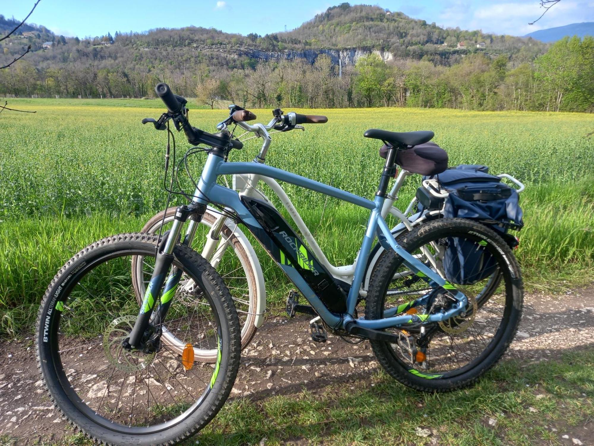 Valreley, Chambres Et Table D'Hotes Eco-Friendly Avec Bain Nordique Au Sud Du Massif Du Jura Champagne-en-Valromey Екстер'єр фото